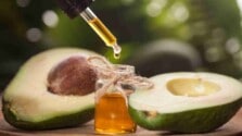 avocado oil