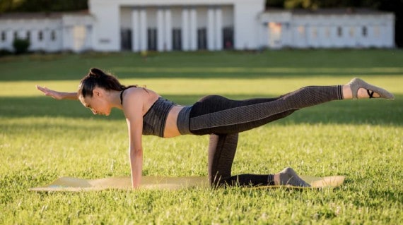 Bird dog exercise