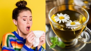 chamomile tea for sneezing
