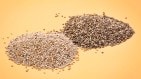 Chia seeds