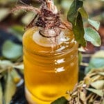 best curry leaf oils