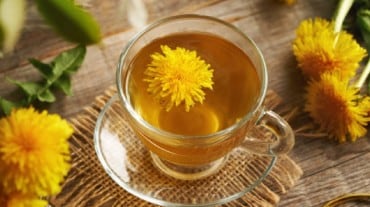 Dandelion tea for weight loss