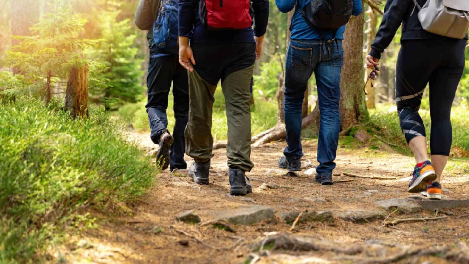 nature walk