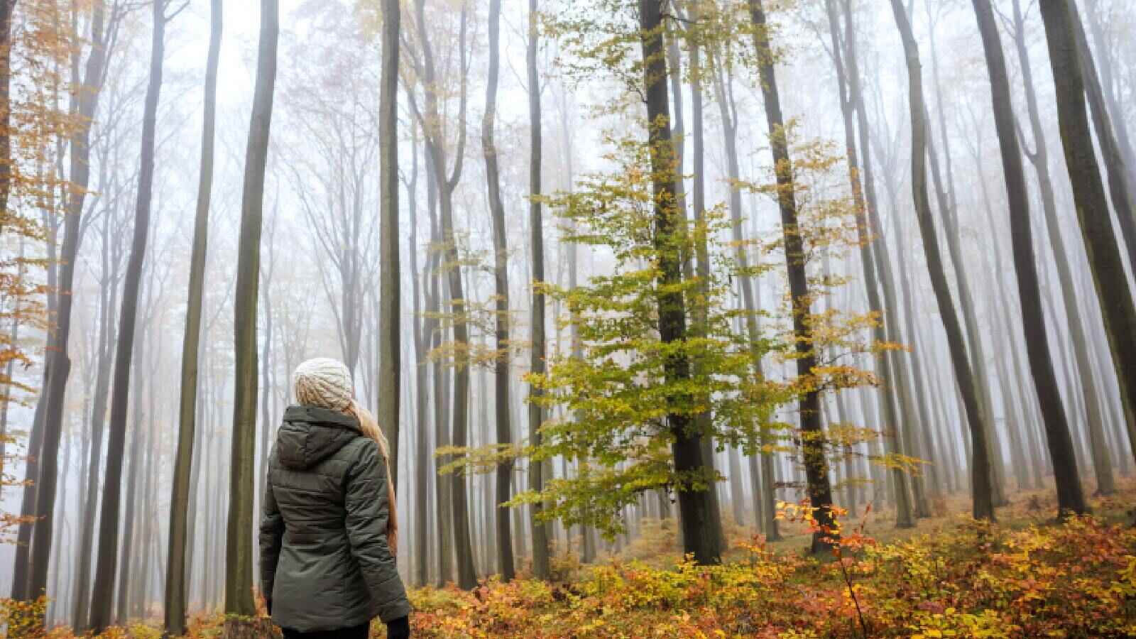 A woman walking in a the mountains