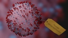 hmpv infection