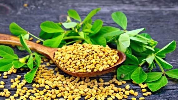 fenugreek seeds