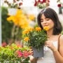 Plants that keep mosquitoes away
