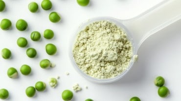 types of protein powders