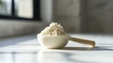 types of protein powders