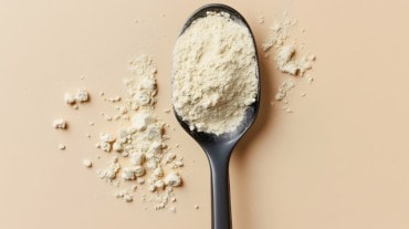 types of protein powders