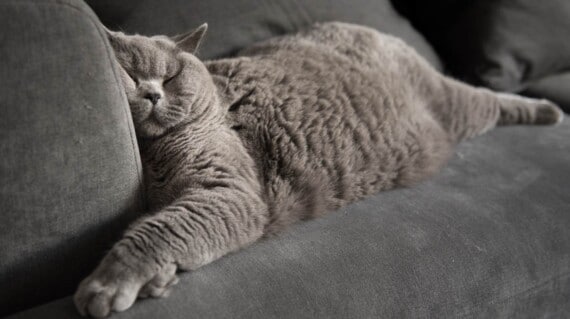 How to sleep quickly?
