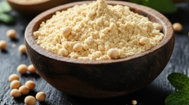 types of protein powders