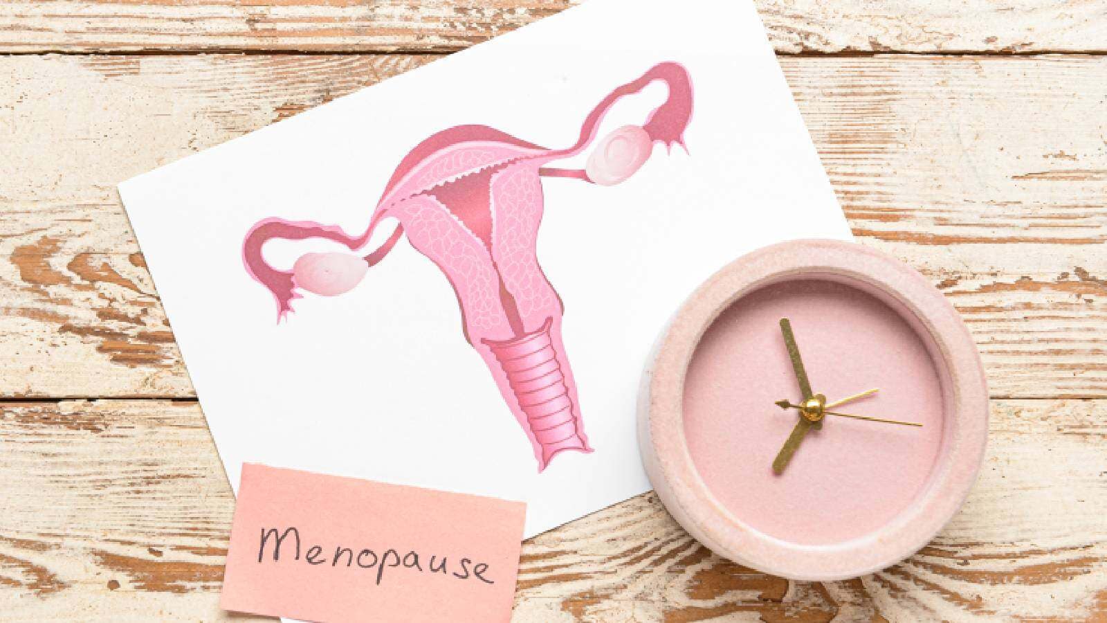 A picture of the female reproductive parts